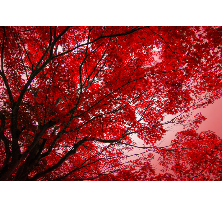 Red blind with red branches design - TenStickers