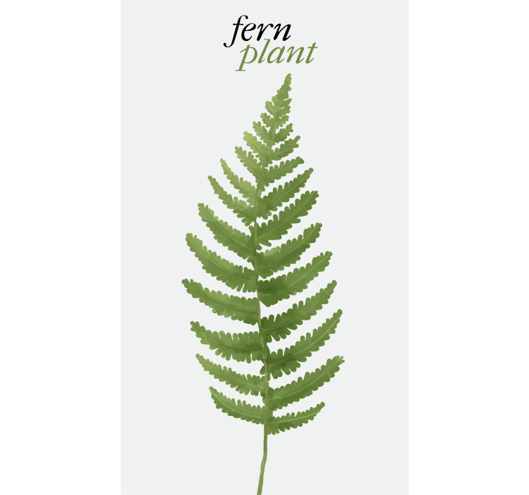Fern green plant blind flowers and plants - TenStickers