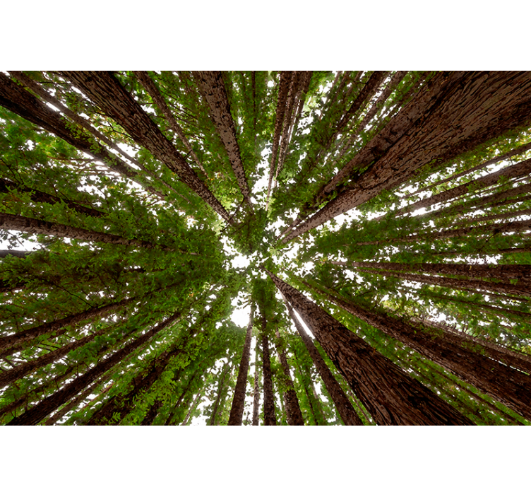 Tall canopy design tree blind - TenStickers