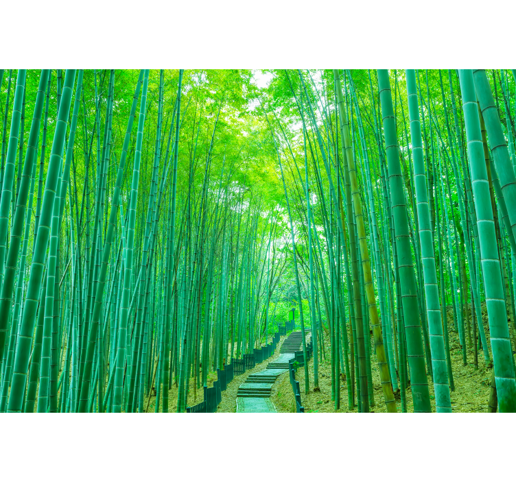 Lush Bamboo Path tree blind - TenStickers