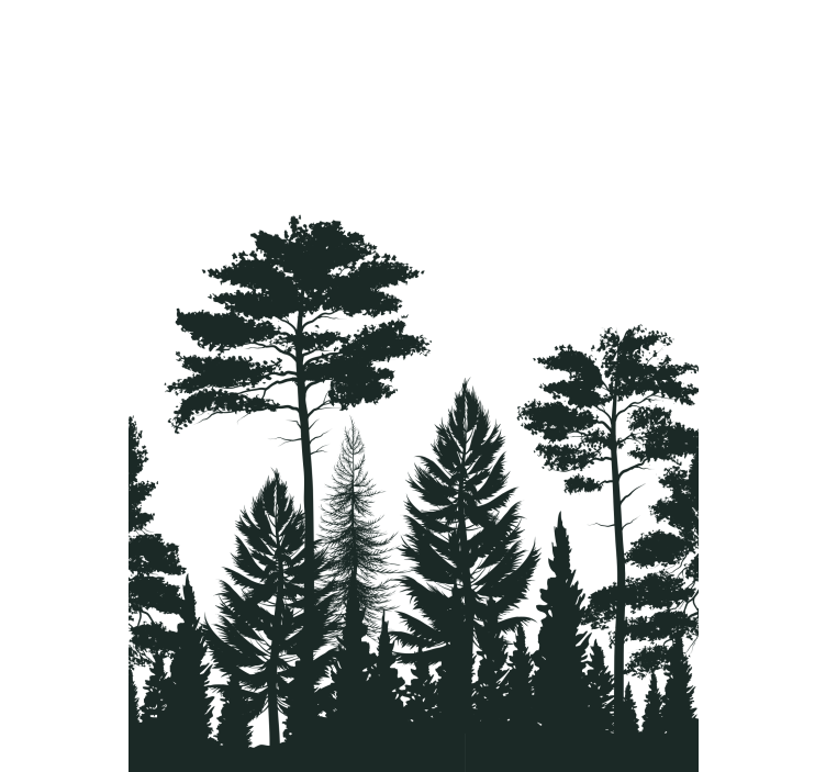 Pine trees silhouette  Tree blind - TenStickers