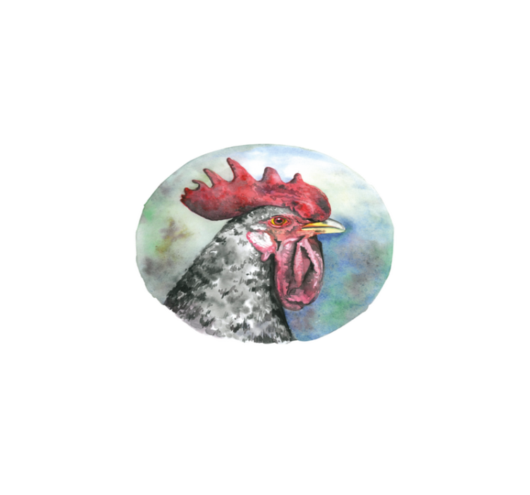 Original placemats colorful rooster portrait - TenStickers