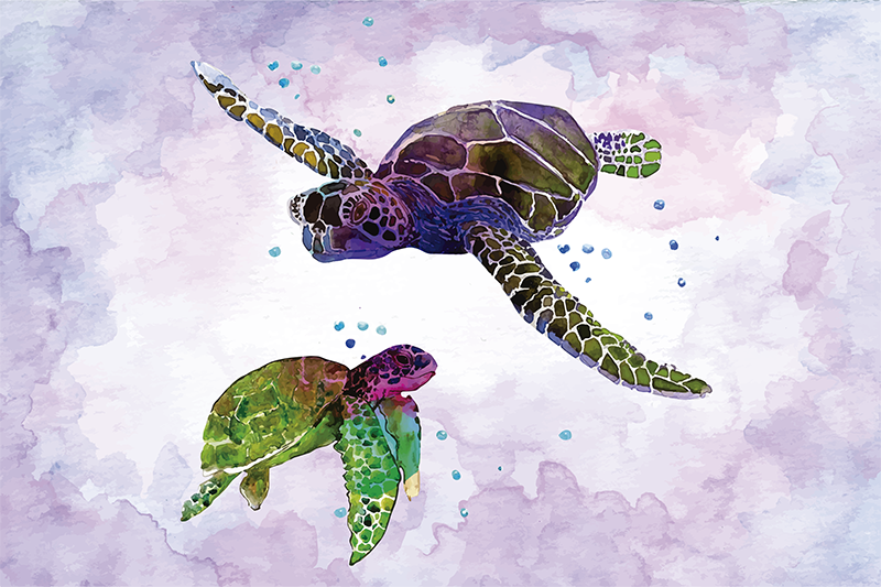 Original placemats colorful turtle illustration - TenStickers