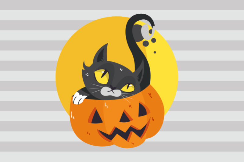 Pumpkins & black cat children placemats - TenStickers