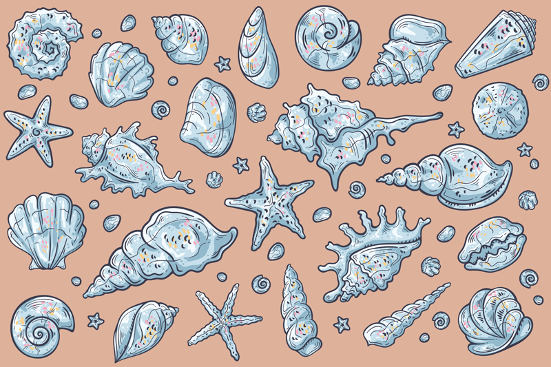 Seashell Sketches seashell placemats - TenStickers