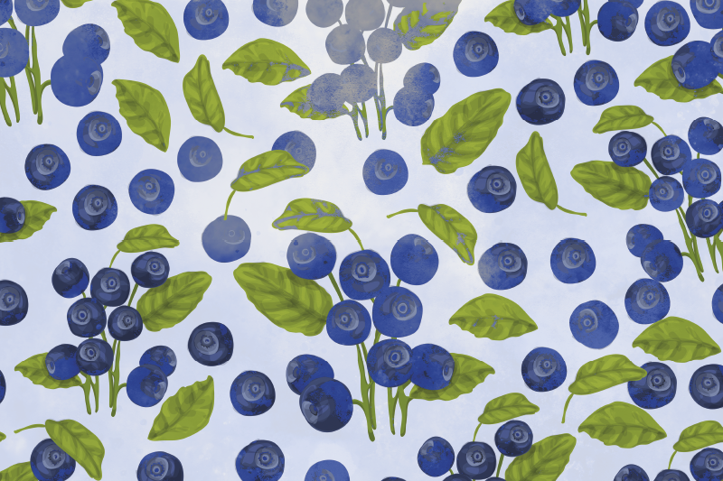 Original placemats blueberry leaf design - TenStickers