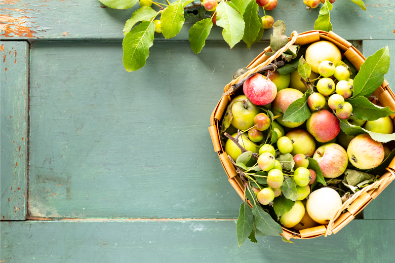 Fresh apple basket Vinyl placemats - TenStickers