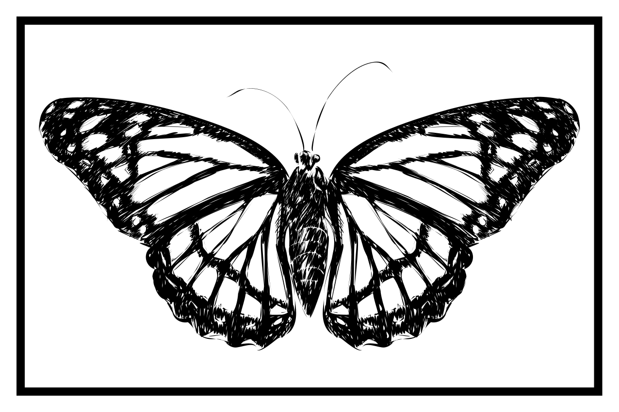 Original placemats elegant butterfly design - TenStickers