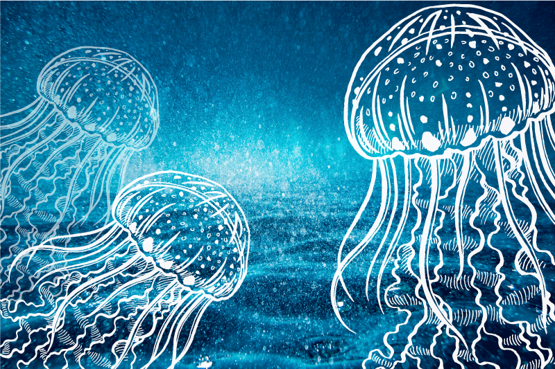Blue and white jellyfish sea creature  placemat - TenStickers