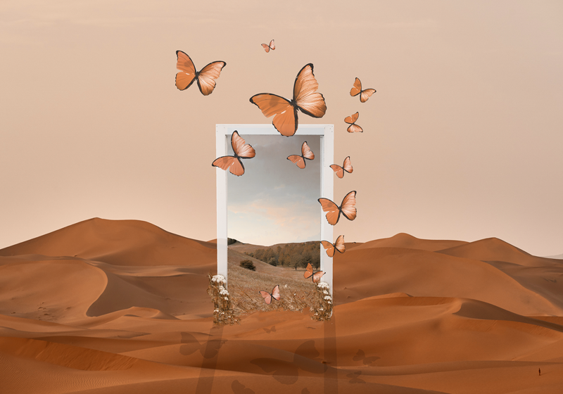 Original placemats butterflies emerging frame - TenStickers