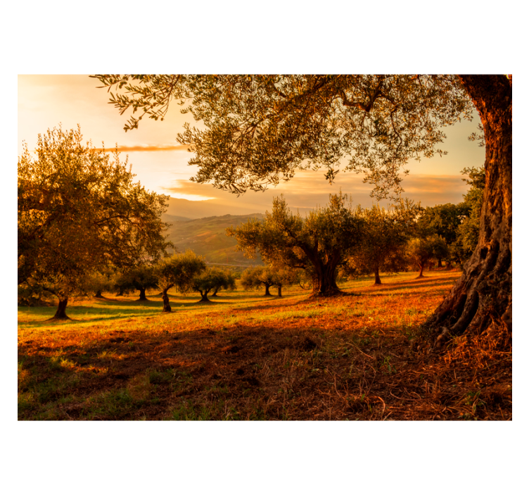 Mediterranean Grove landscape wall mural - TenStickers
