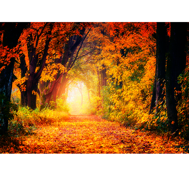 Autumn Forest Path landscape wall mural - TenStickers