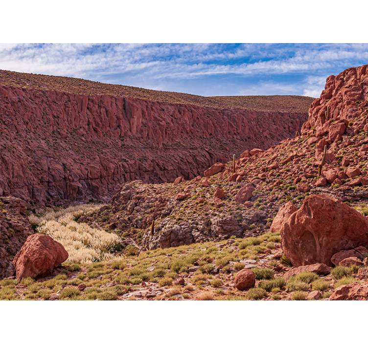 Red Desert Landscape wall mural mountain - TenStickers