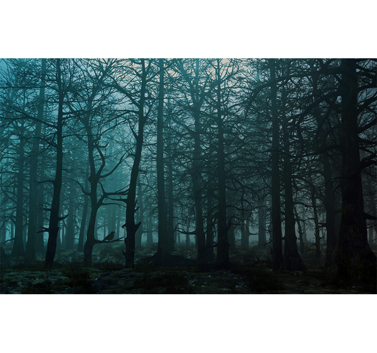 Foggy Woodland Scene forest wall mural - TenStickers