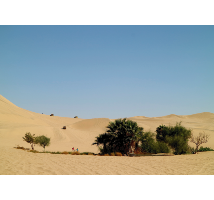 Sandy Dune Oasis desert wall mural - TenStickers