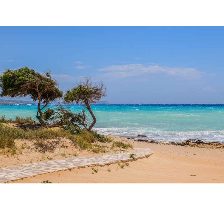 White path to the beach under the sea mural - TenStickers