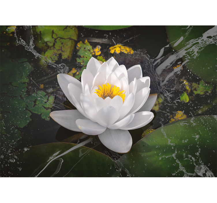 Flower wall mural lotus flower calmness - TenStickers