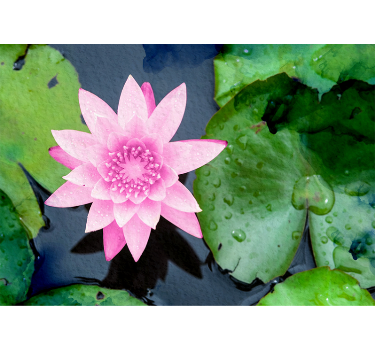 Pink Lotus Blossom flower wall mural - TenStickers