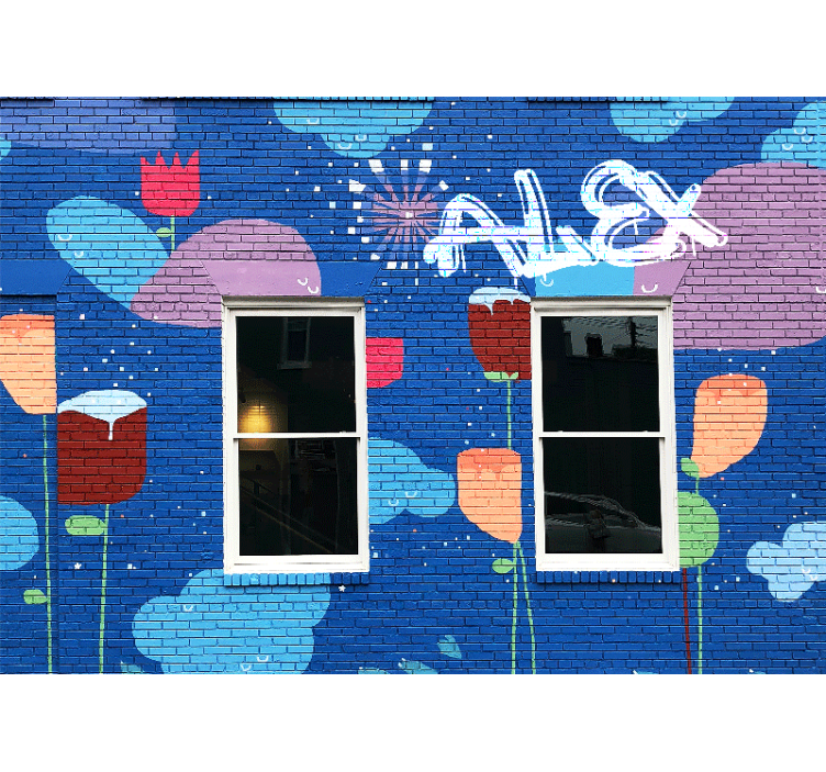 Colorful Floral Elements graffiti wall mural - TenStickers