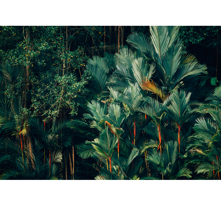 Wall mural nature exotic palm foliage design - TenStickers