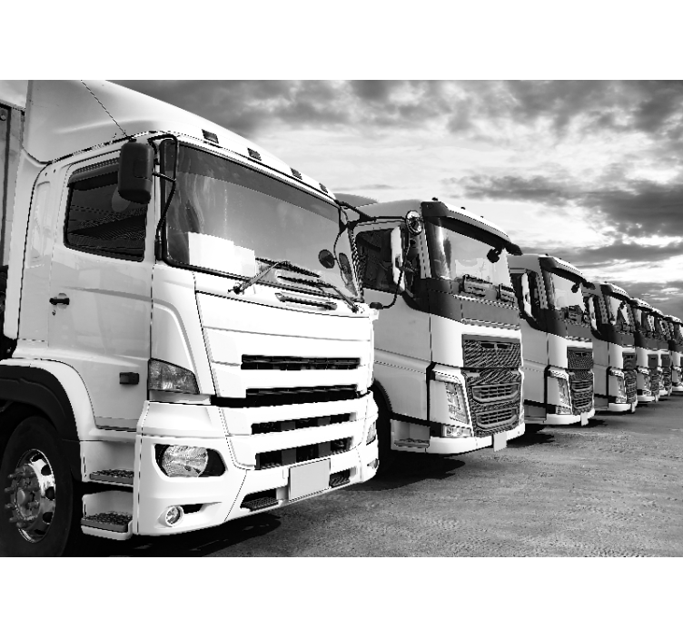 Wall mural vehicle trucks collection - TenStickers