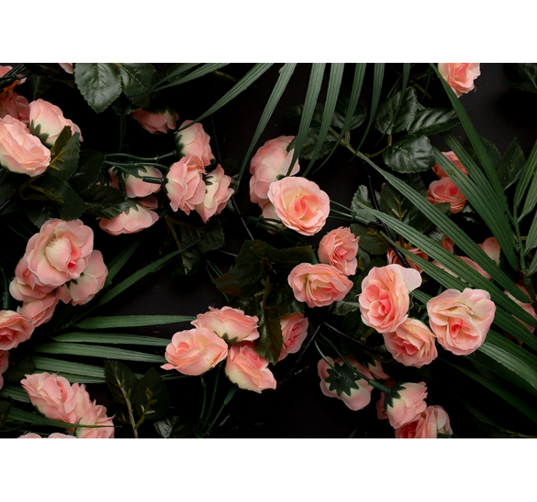 Flower wall mural soft pink roses - TenStickers