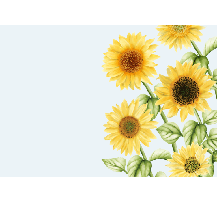 Sunflower Blossoms Display flower wall mural - TenStickers