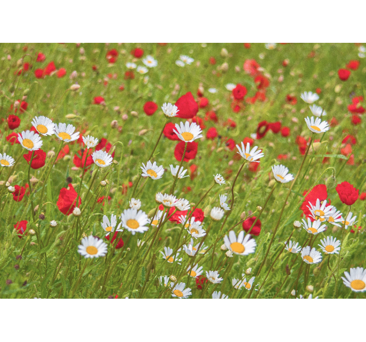 Vibrant flower field flower wall mural - TenStickers