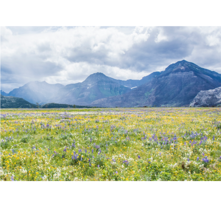 Landscape wall mural mountain flower meadow - TenStickers