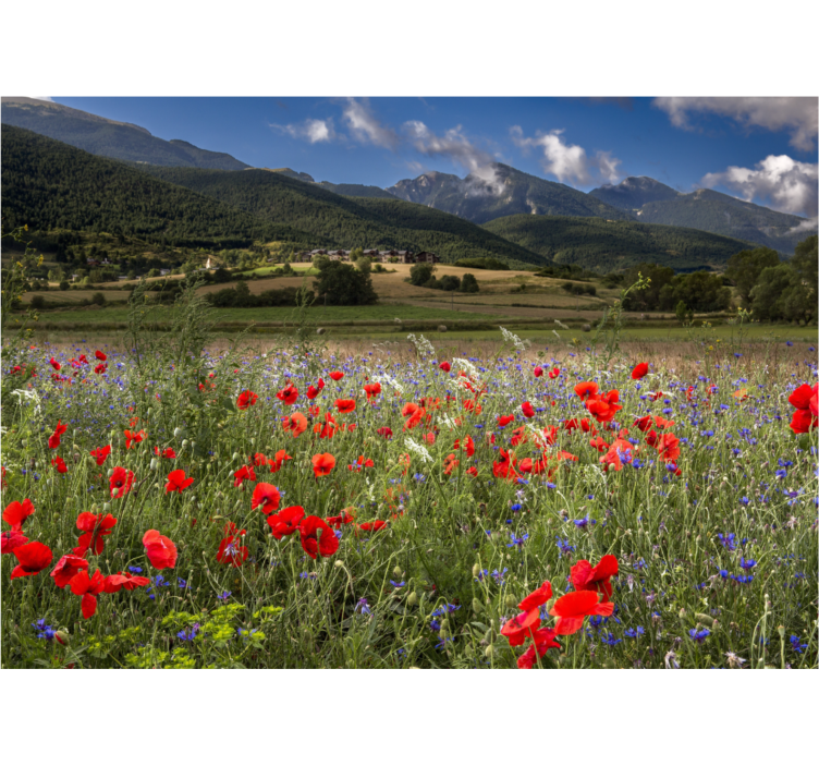 Flower wall mural poppy meadow view - TenStickers