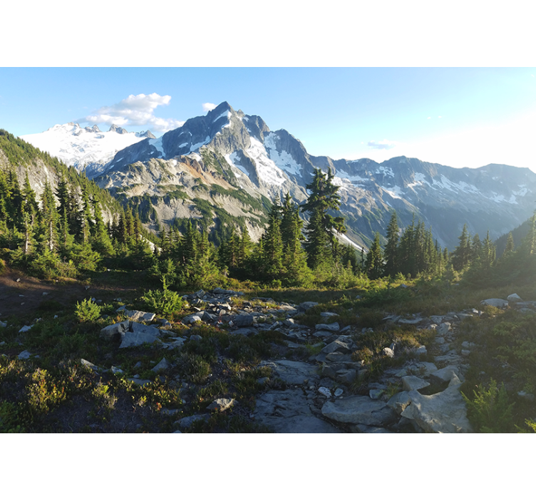 Landscape wall mural mountainous forest scene - TenStickers