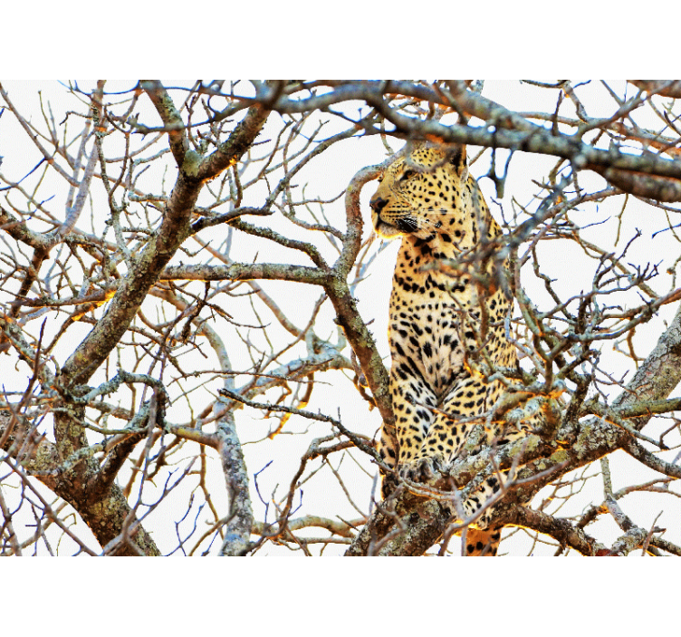 Leopard Among Branches animals wall mural - TenStickers