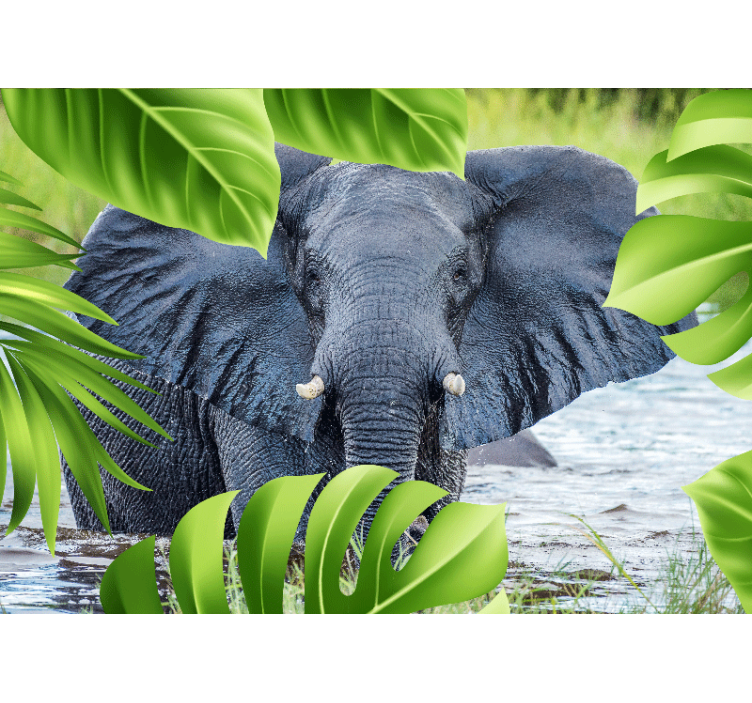 Animals wall mural majestic elephant encounter - TenStickers