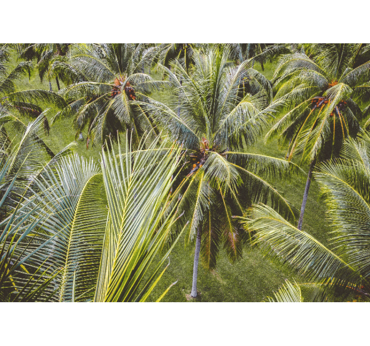 Wall mural nature lush palm leaves - TenStickers