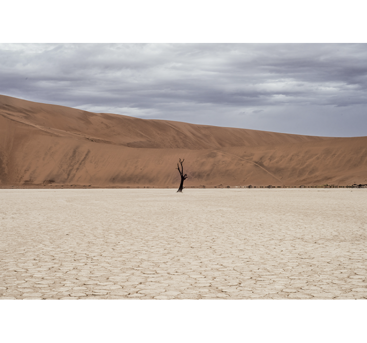 Wall mural mountain desert landscape view - TenStickers