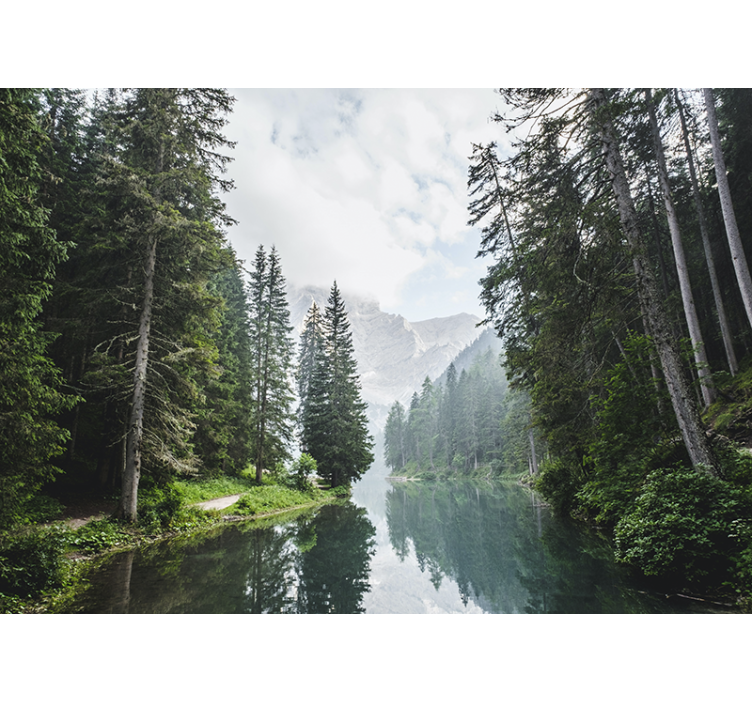 Landscape wall mural tranquil forest echo - TenStickers