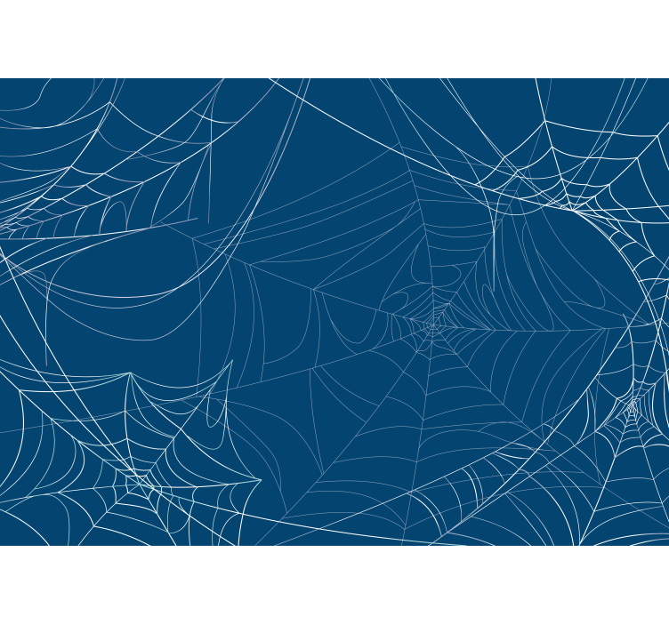 Zen wall mural spider web pattern design - TenStickers