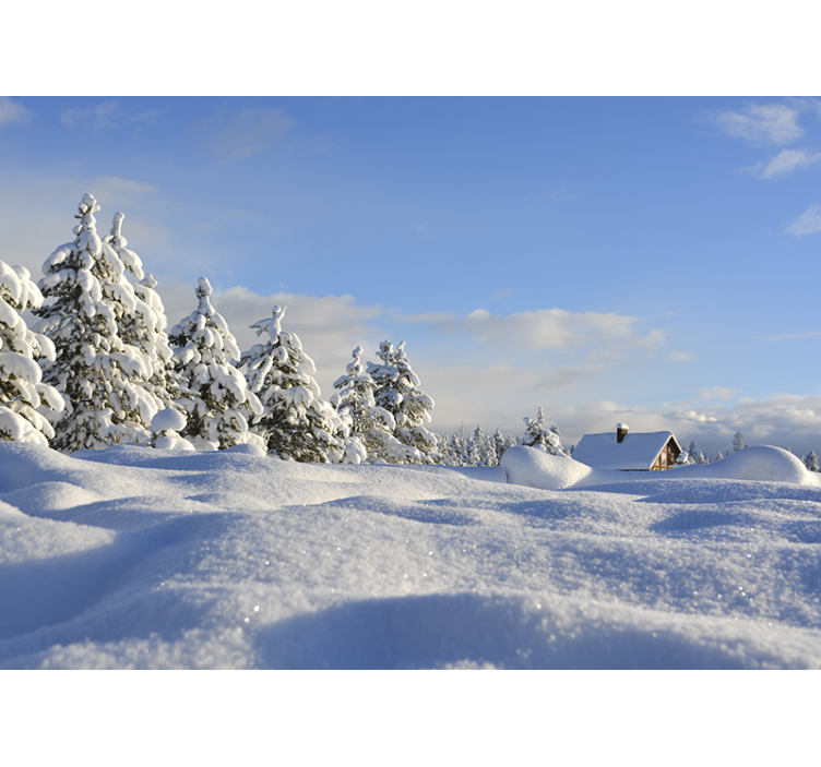 Winter snowy scene landscape wall mural - TenStickers