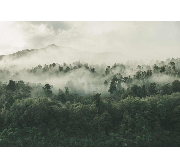 Wall mural nature misty woodland landscape - TenStickers