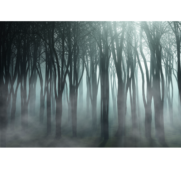 Misty Trees Silhouette forest wall mural - TenStickers