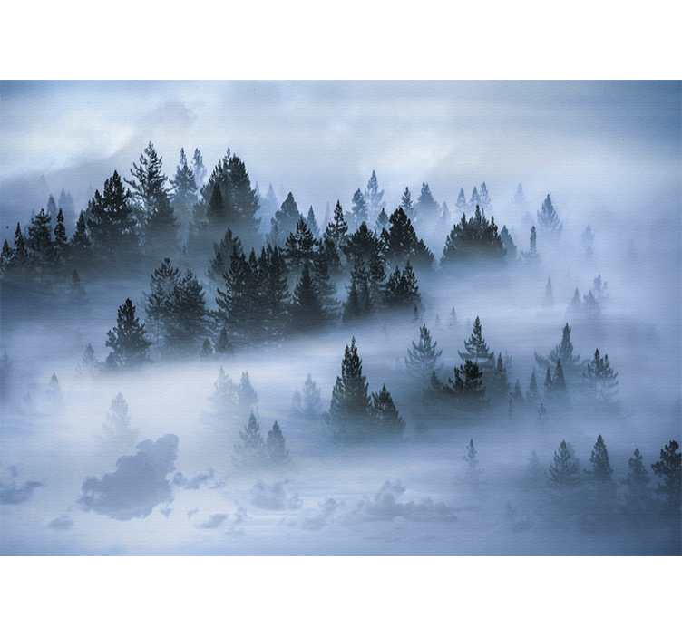 Wall mural nature hazy evergreen forest - TenStickers