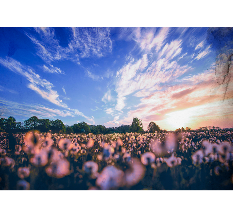 Sunlight in nature aesthetic nature wall mural - TenStickers