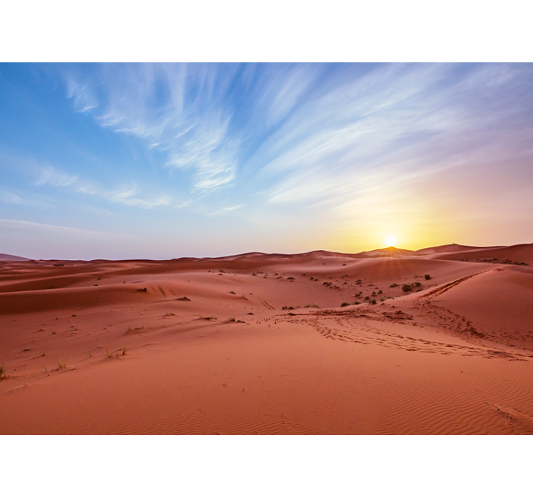 Desert wall mural golden desert sunset - TenStickers