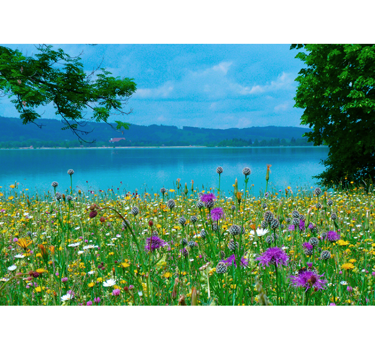 Lush meadow flora flower wall mural - TenStickers