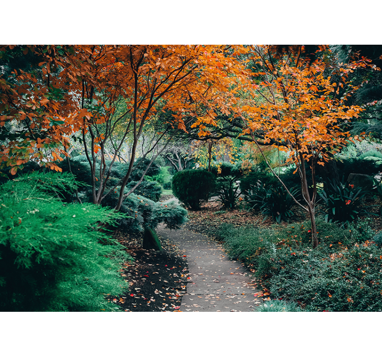 "Cottagecore" botanical corridor 3D Wall Mural - TenStickers