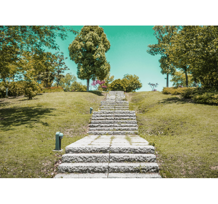 Wall mural nature staircase in the wilderness - TenStickers