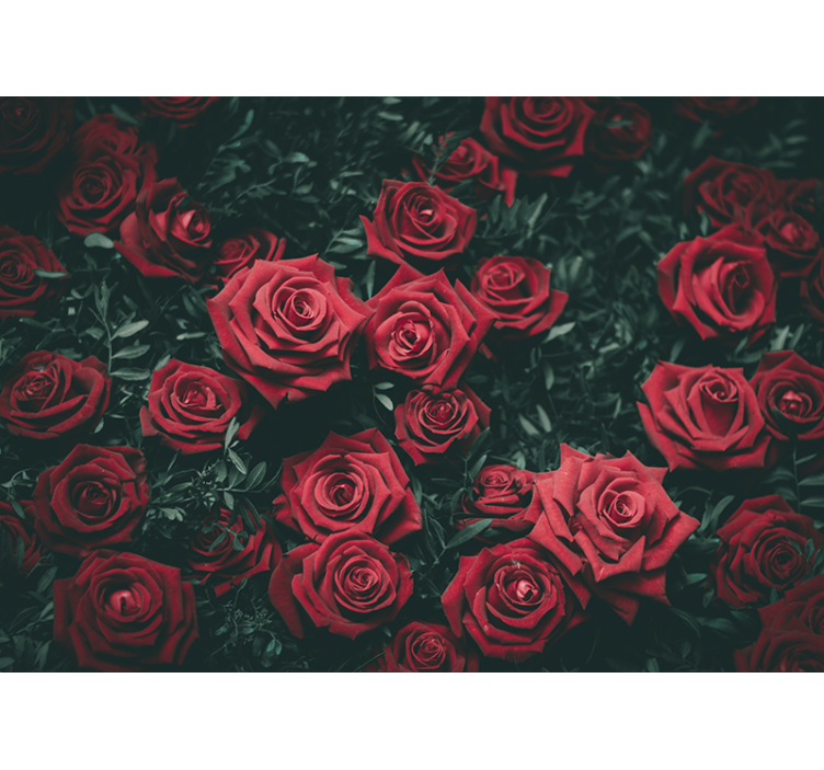 Romantic red roses flower wall mural - TenStickers