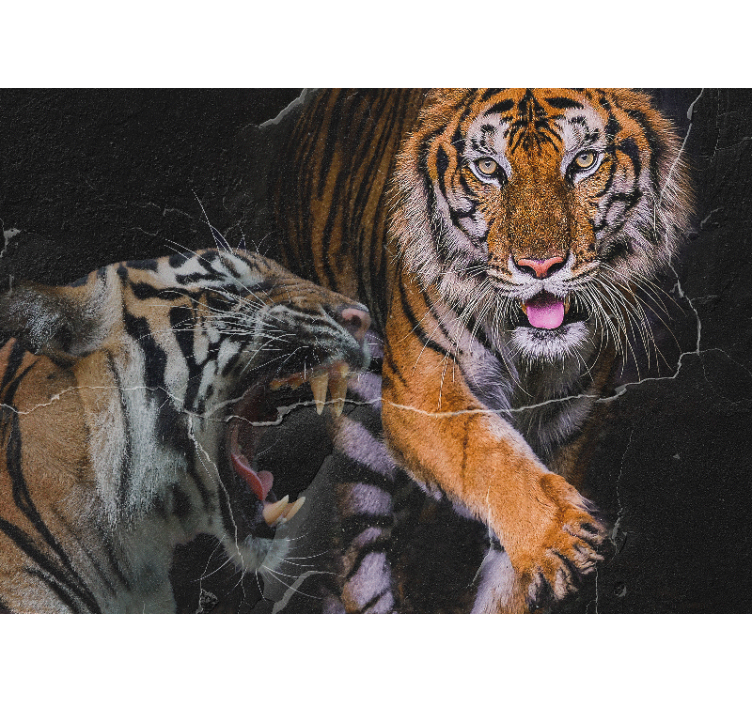 Animals wall mural majestic tiger encounter - TenStickers