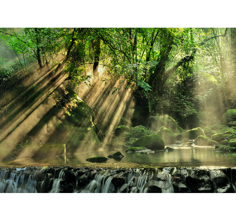 Sunlit Forest Stream wall mural nature - TenStickers