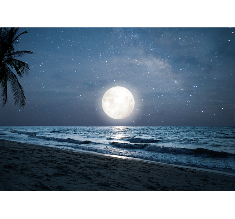 Wall mural nature bright moonlit ocean scene - TenStickers